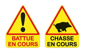 Battue aux Sangliers